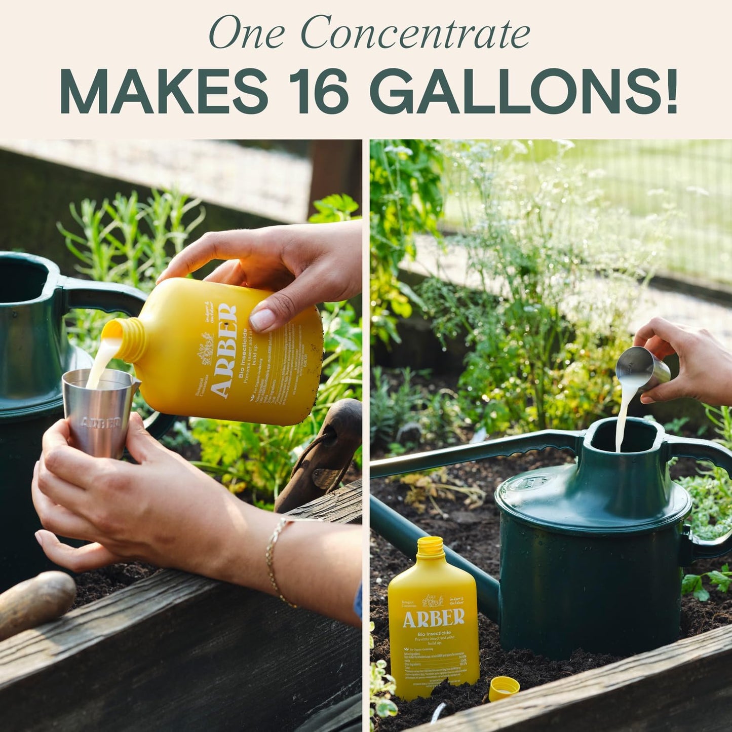 Organic Insecticide Liquid Concentrate – Natural Plant Insect Spray for Indoor & Outdoor Use, Fungus Gnat, Aphid & Spider Mite Control – Houseplant & Garden Insect Killer