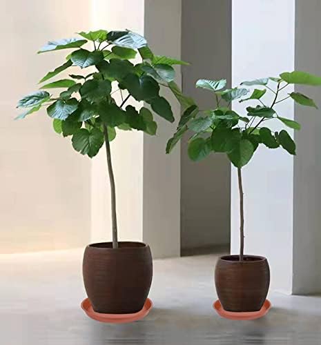 2 Pack of Bird Bath Bowl 14 inch, 1.6" Depth, 12 14 16 18 19 inch Heavy Duty BirdBath Bowls only, Plastic Round Large Plant Saucer Dish for Garden (14", Terracotta)