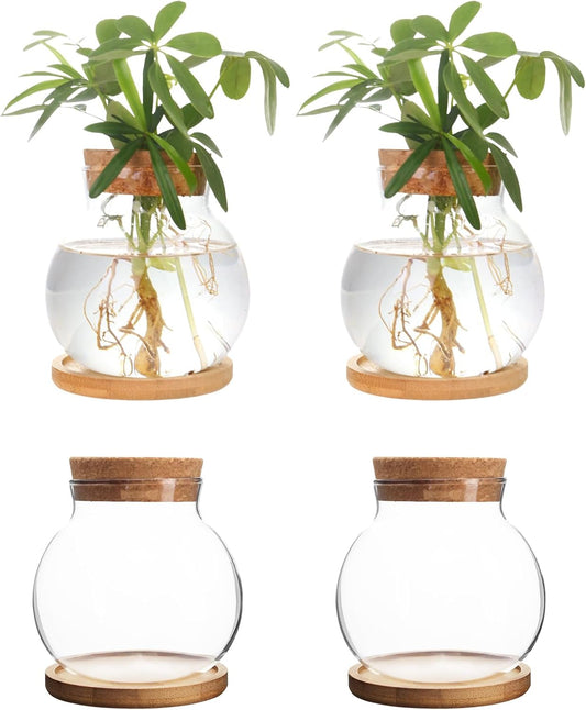 Plant Propagation Station,Hydroponic Glass Container Vase Jars, with Wooden Saucer for Desks, Houses, Garden Decorations, Home Kitchen Decorations and Gifts for Plant Lovers (4)