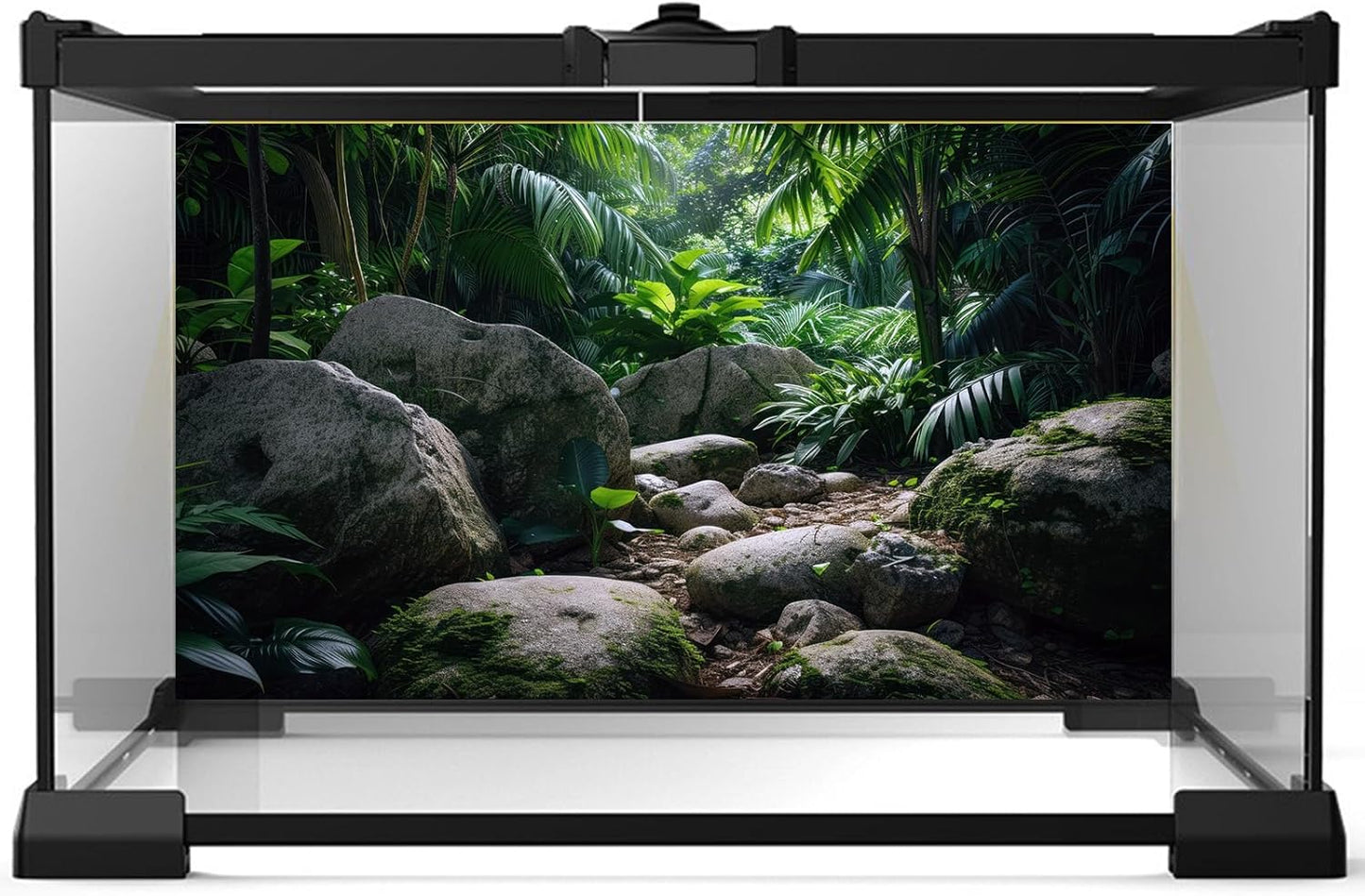 Reptile Habitat Backdrop Lush Tropical Plants and Rocks Terrarium Backdrop Dense Vegetation with Large Broad Leaves and Ferns Fish Tank Background Aquarium Wallpaper Poster Decor Vinyl 24x12in