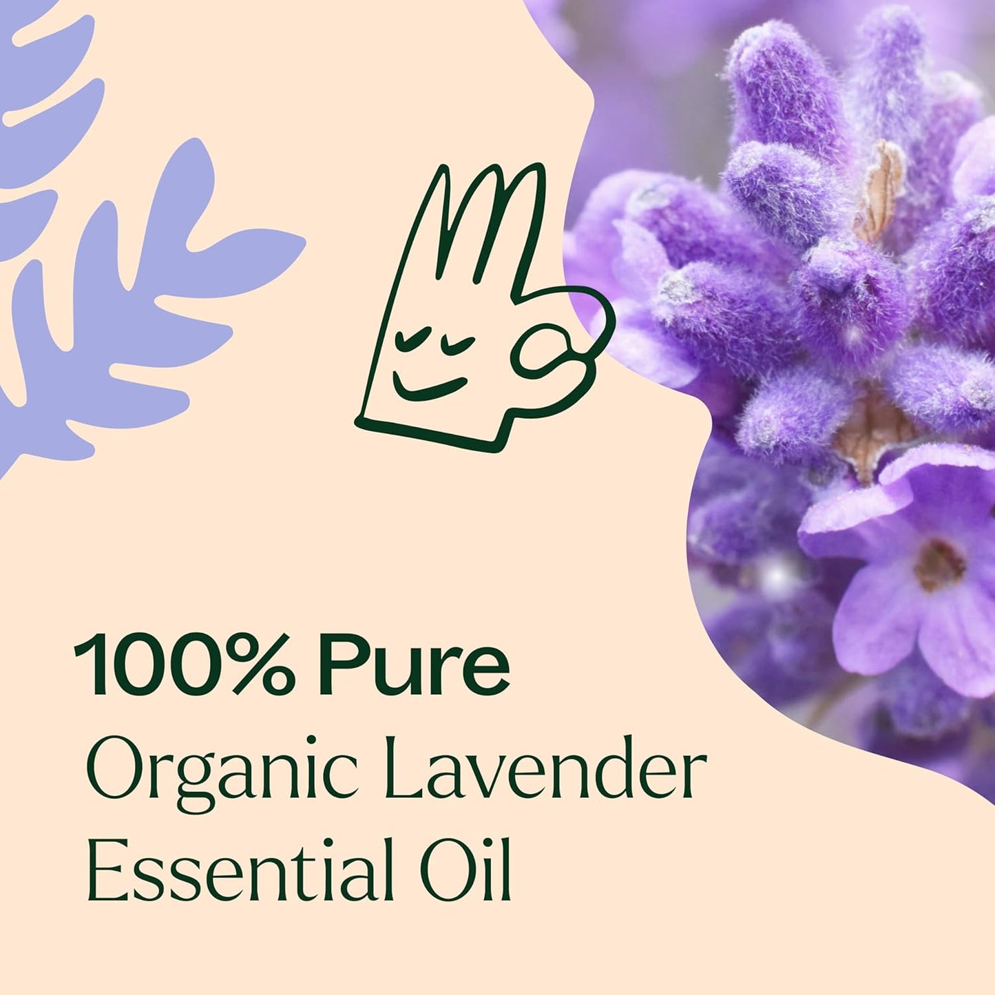 Plant Therapy Organic Lavender Essential Oil 100% Pure, USDA Certified Organic, Undiluted, Natural Aromatherapy, Therapeutic Grade 10 mL (1/3 oz)