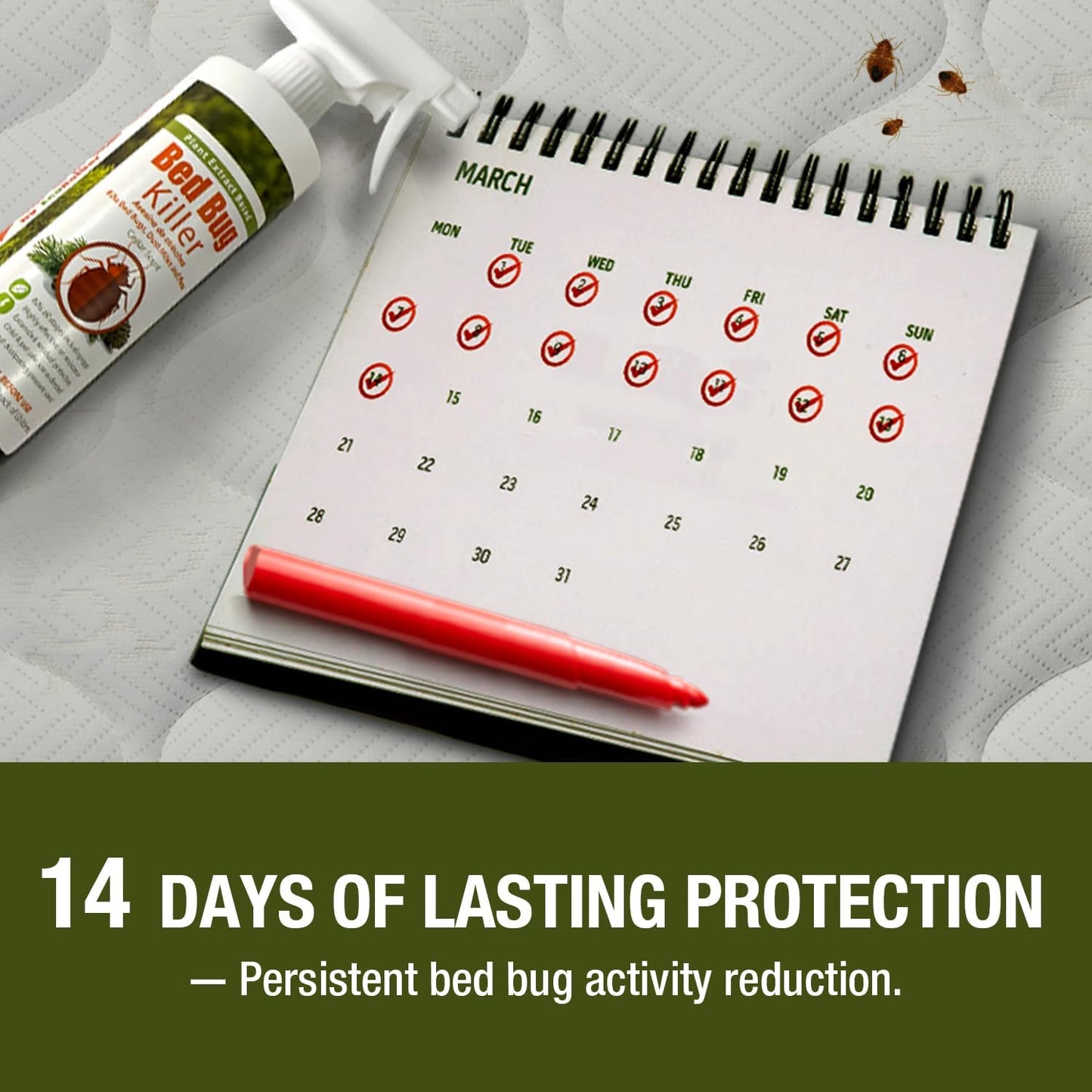 EcoVenger Bed Bug Killer (480ML) 100% Kill Efficacy−Kills All Stages on Contact-14 Day Residual Protection− Eco-Friendly & Non-Toxic Child & Pet Friendly