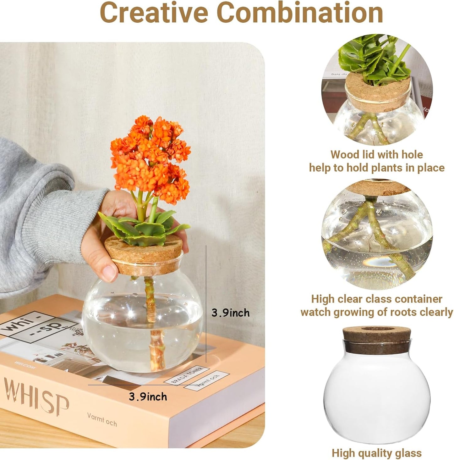 Plant Propagation Station,Hydroponic Terrarium Vase,Desktop Glass Planter Station,for Houses,Garden Decorations,ropagating Hydroponic Plants,Centerpiece Office,Home Garden Decor (6)