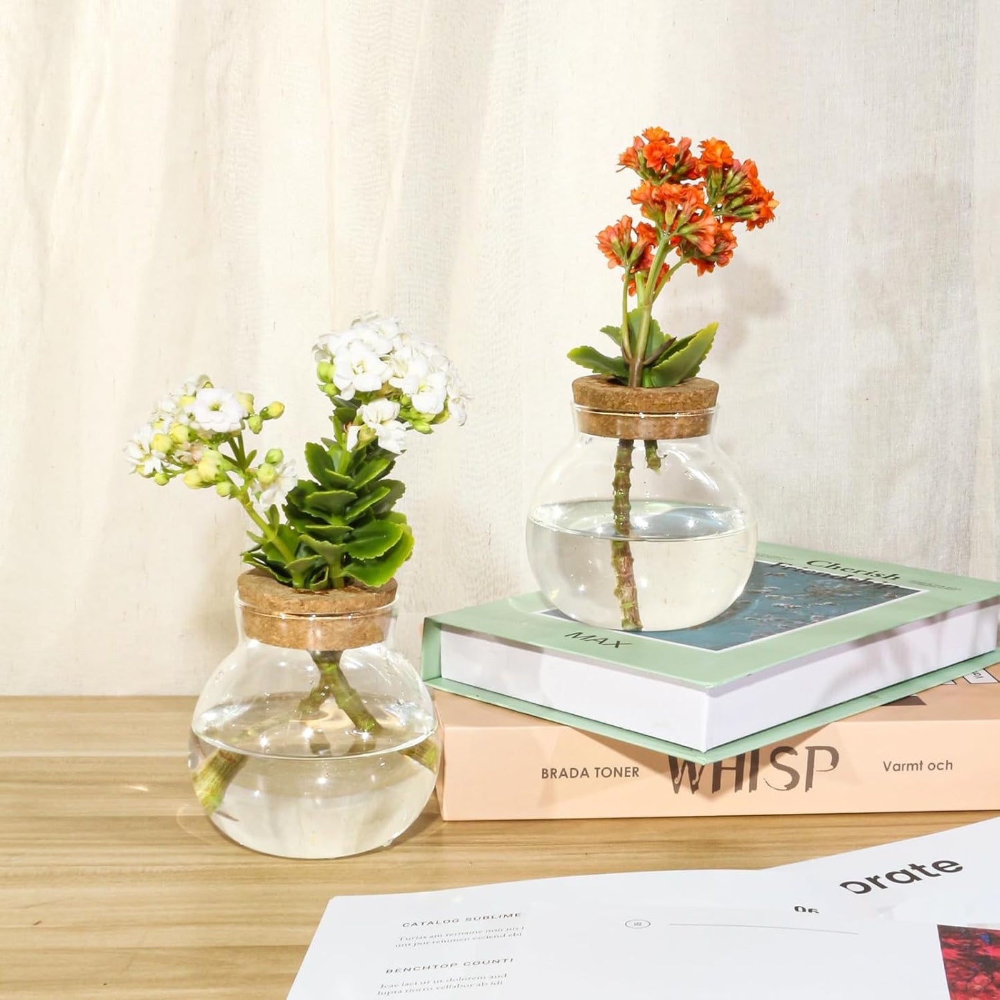 Plant Propagation Station,Hydroponic Terrarium Vase,Desktop Glass Planter Station,for Houses,Garden Decorations,ropagating Hydroponic Plants,Centerpiece Office,Home Garden Decor (9)