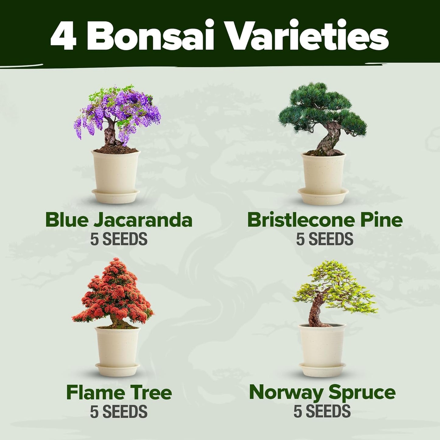 Bonsai Tree Kit - Gifts for Men & Women - Grow 4 Bonsai Trees - Unique Gardening Crafts for Adults, DIY Hobbies for Plant Lovers & Gardeners - Unusual Christmas Gift Ideas for Mom & Dad