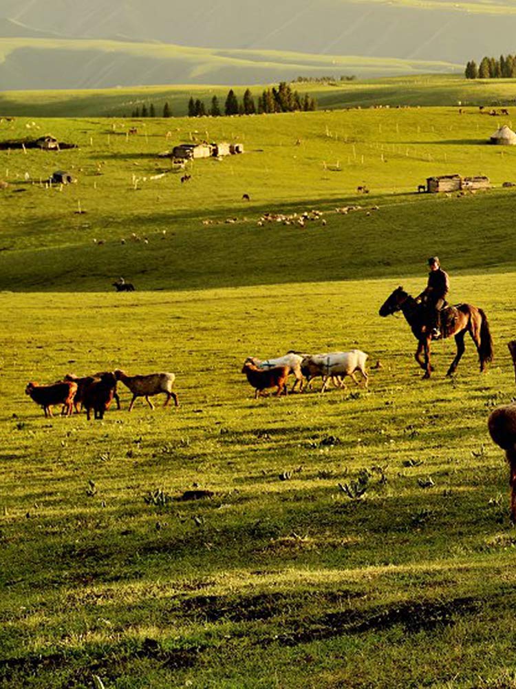 Electric Fence Polywire 1312 Feet，400 Meter，6 Stainless Steel Strands for Reliable Conductivity and Rust Resistance，Portable Electric Fence Rope