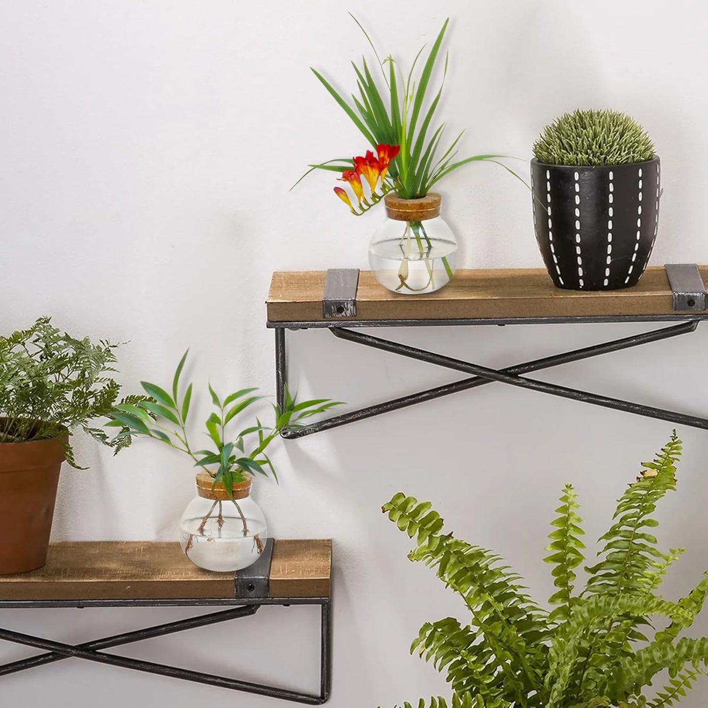 Plant Propagation Station,Hydroponic Terrarium Vase,Desktop Glass Planter Station,for Houses,Garden Decorations,ropagating Hydroponic Plants,Centerpiece Office,Home Garden Decor (6)