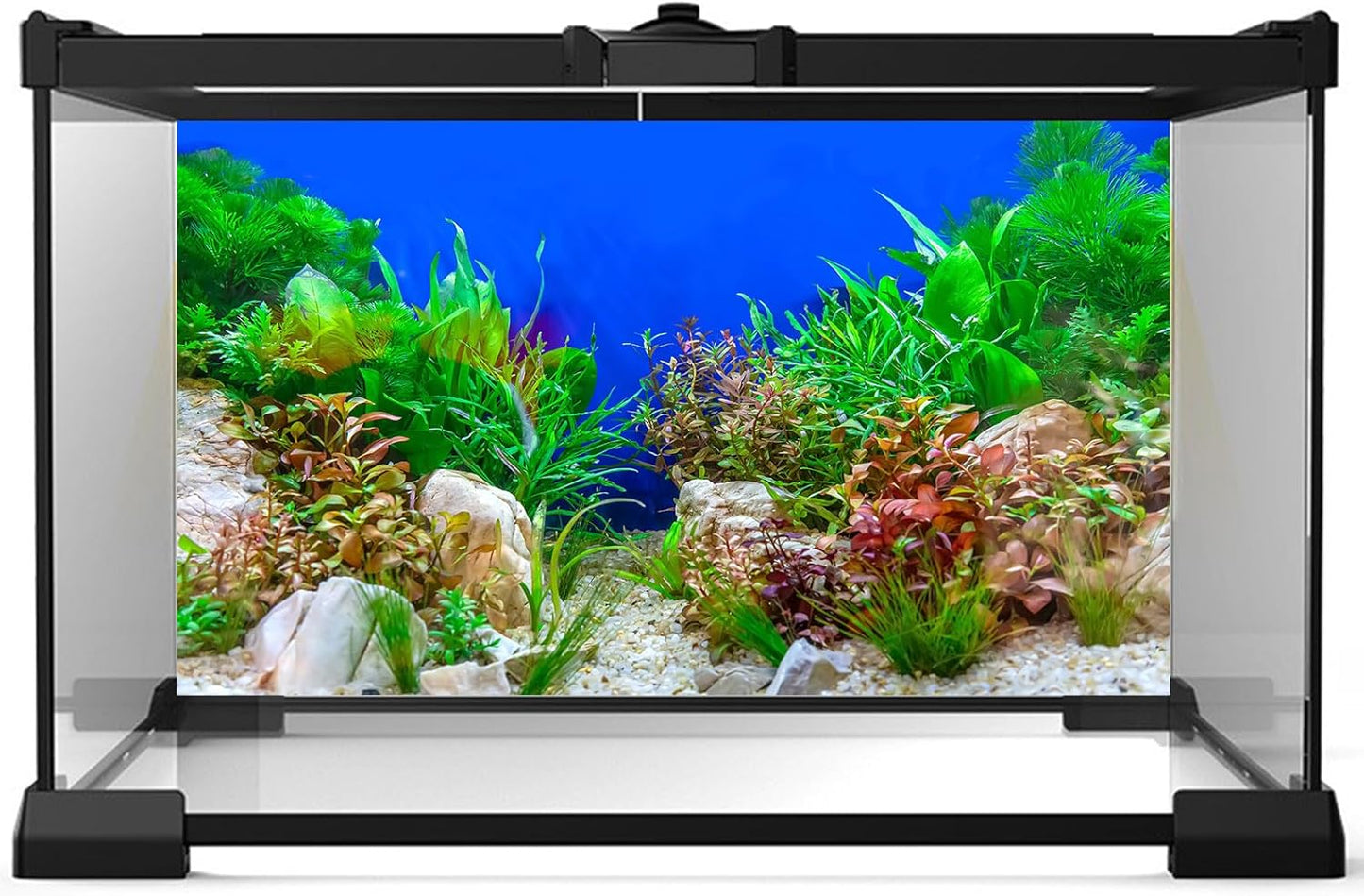 Aquarium Background Green Aquatic Plant Stone River Bed and Lake Fish Tank Background Decor Underwater Grass Leaves with Pebble Aquarium Backdrop Perfect Fish Tank Decors Vinyl 72x18in