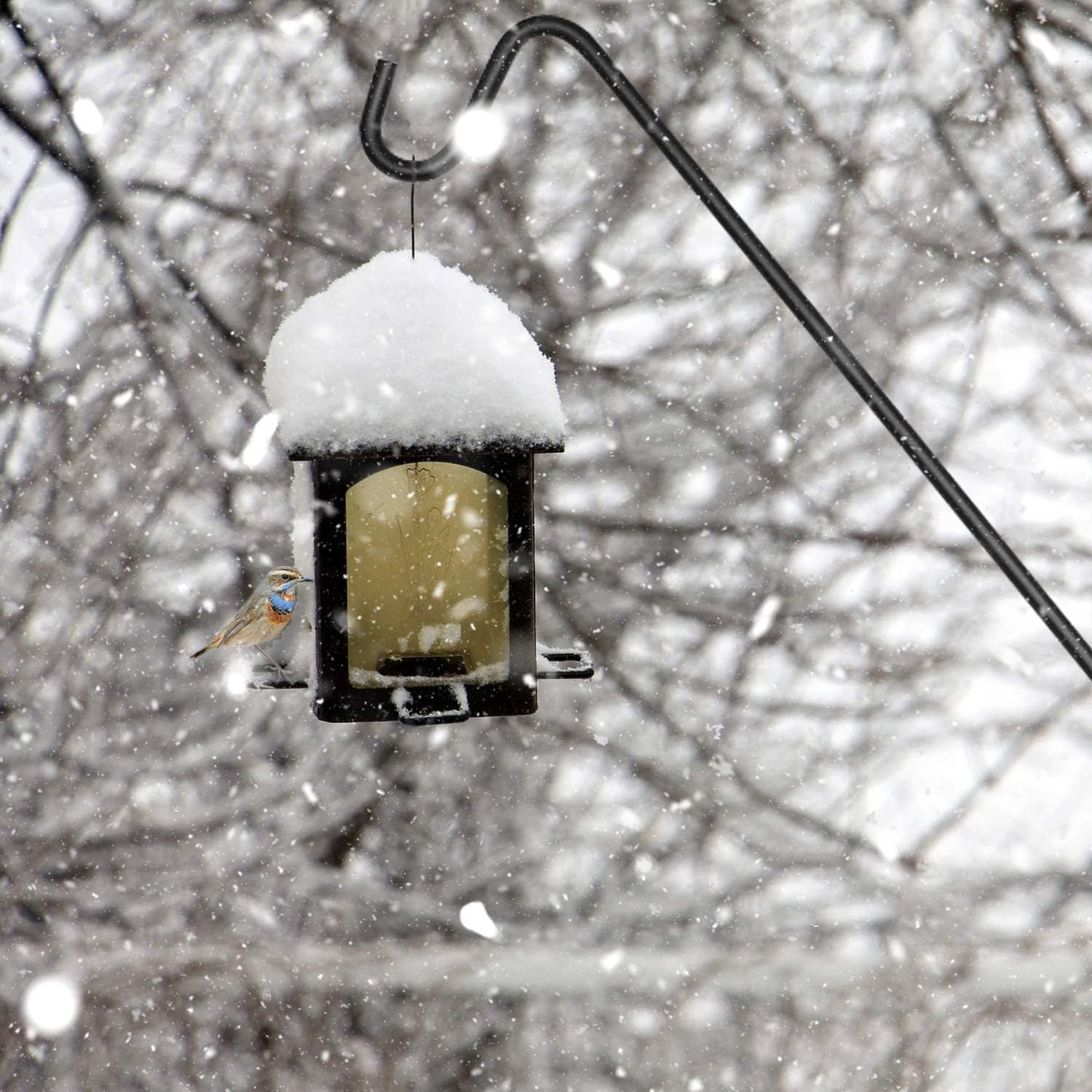 Ashman Deck Hook 32-Inch (2 Pack), Double Forged Solid Metal Single Piece Rod, Ideal for Bird Feeders, Plant Hangers, Coconut Shell Hanging Baskets, and Lanterns.