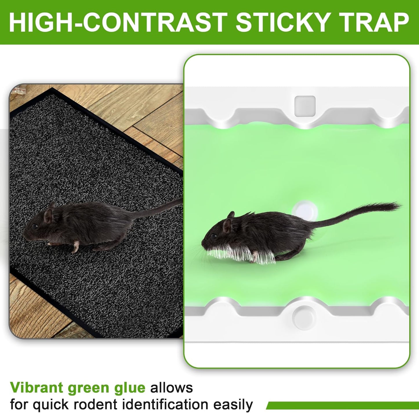 Qualirey 12 Pack Mouse Glue Trap, Super Sticky Traps Mouse Size for Mice and Rats, Pre-Scented, Non Toxic Mice Glue Boards, Rodent Sticky Pads Indoor for Home, Easy to Use, Pet Safe Pest Control