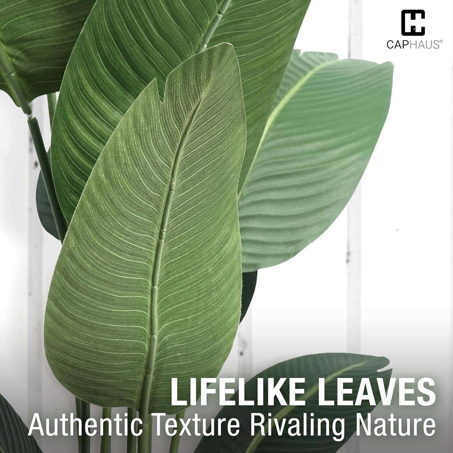 CAPHAUS 5 Feet Artificial Bird of Paradise, 60 Inch with 10 Trunks, Premium UV Resistant Lifelike Fake Plant in Pot with Dried Moss for Office, Indoor/Outdoor Use & Tropical Home Décor