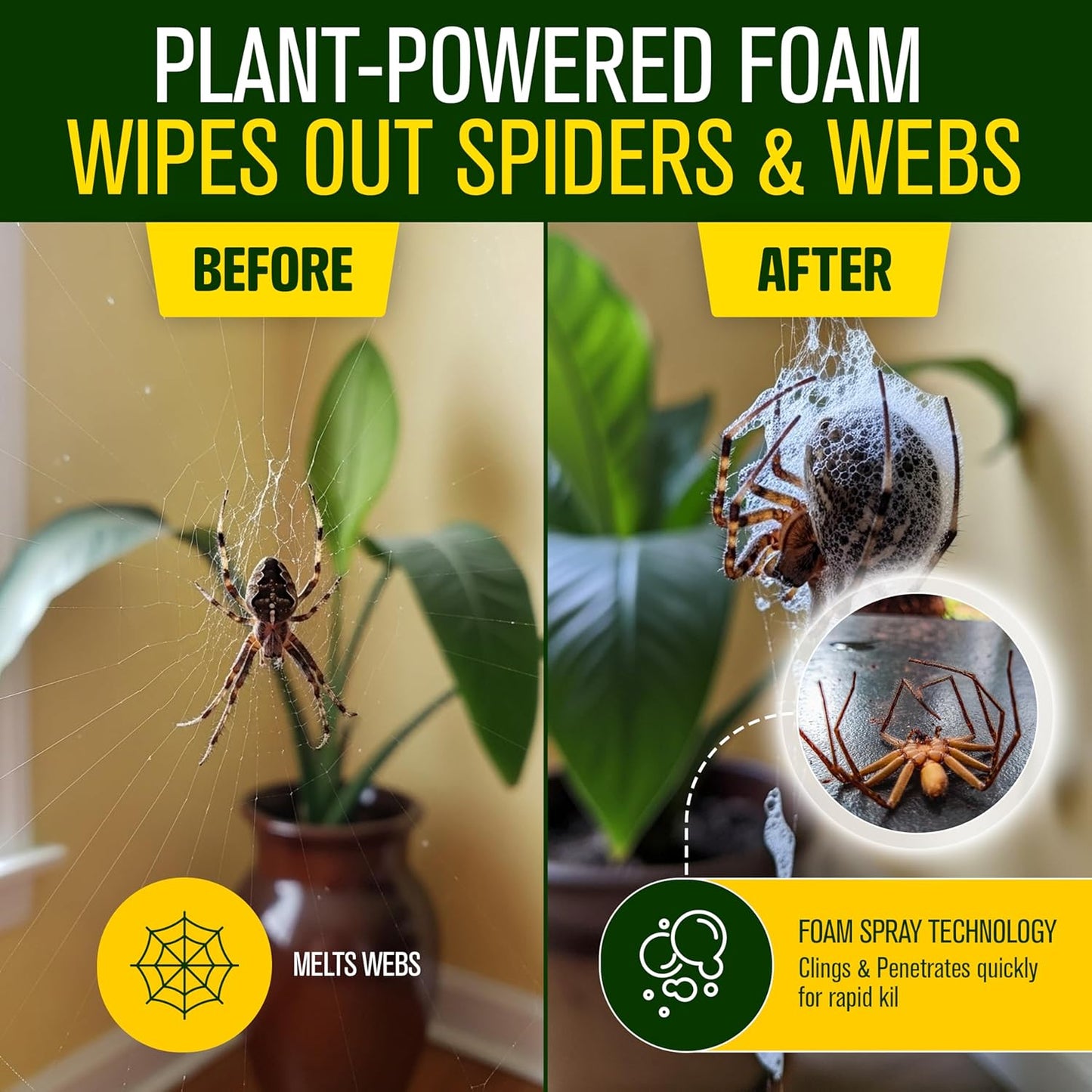 Green Guard Pest Control Spray - Indoor & Outdoor Killer of Ants, Roaches, Spiders & Other Crawling Insects, Safe Around Children & Pets, Plant-Based, Pleasant Scent (Cinnamon Might, 16oz)