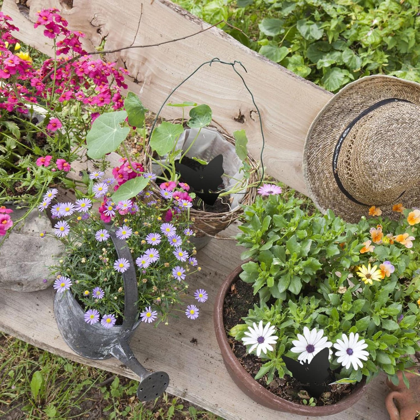 USKICH Sticky Trap Fruit Fly and Gnat Trap Sticky Bug Traps Fungus Traps for Indoor/Outdoor ，Insect Catcher for White Flies,Mosquitoes,Fungus Gnats,Lying Insects (36 Pcs Black)