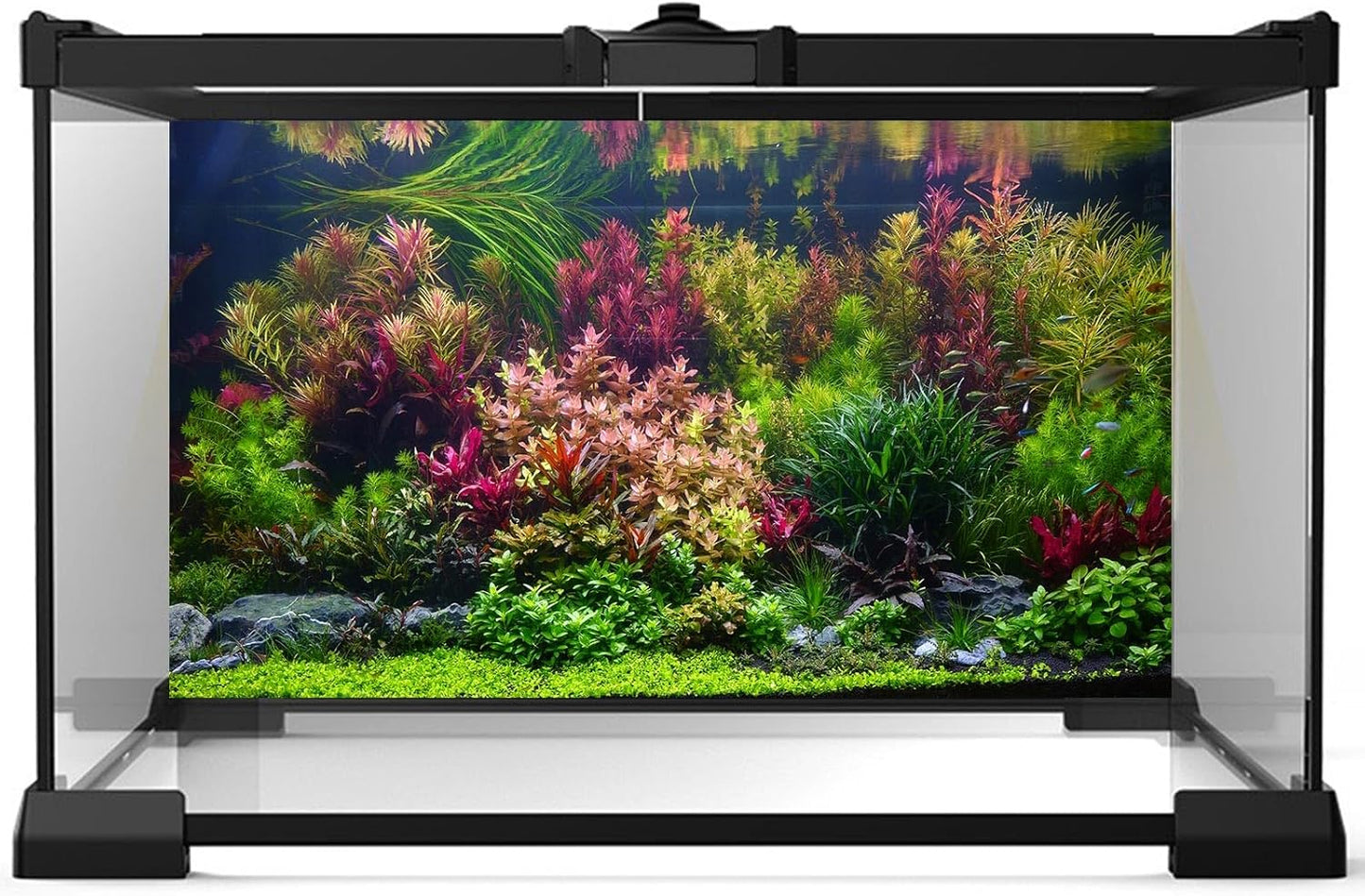 Aquarium Background Various Vivid Fresh Underwater Aquatic Plant Fish Tank Aquarium Backdrop Stone River Bed and Lake Fish Terrarium Background Decor Vinyl 36x20in