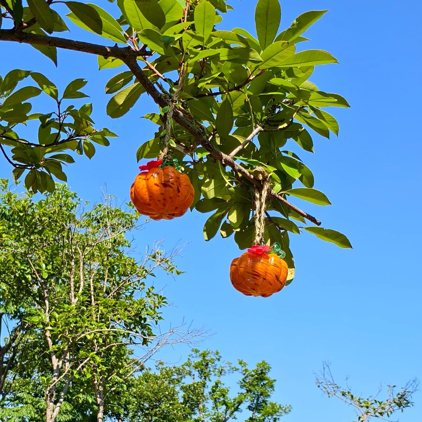 Small Glass Hummingbird Feeders for Outdoors Hanging - 2PC X Orange Yellow Hand Blown Glass Pumpkin Nectar Feeding, 2 Flowers Feeding Ports, Decor for Garden/Backyard Outside