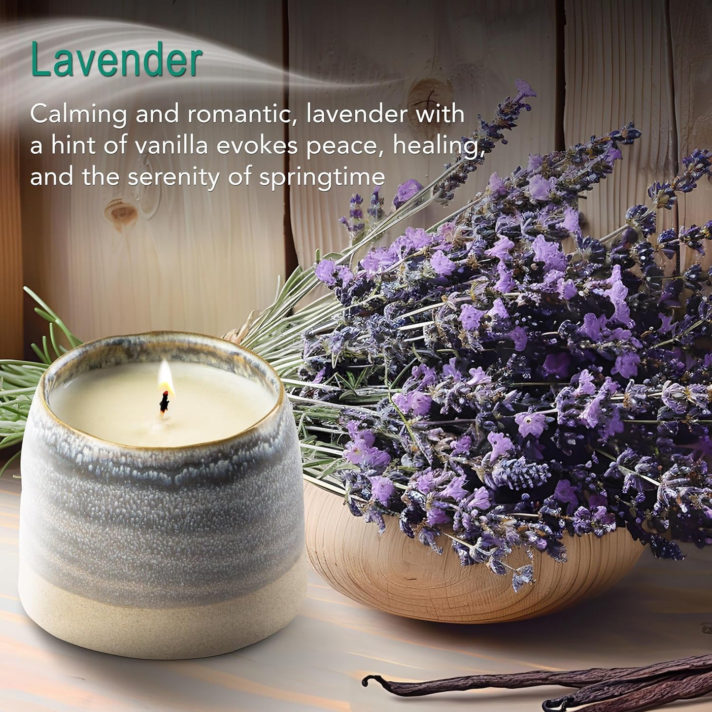 The Growing Candle, Lavender Scented, 10oz Ceramic Pot, Single Wick Aromatherapy Candles, 100% Soy for Women and Men, Greta