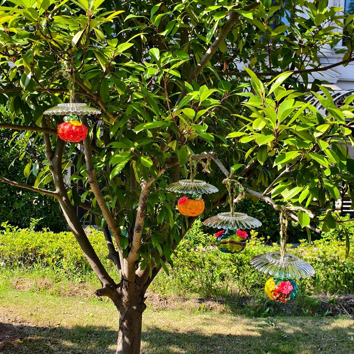 Small Glass Hummingbird Feeders for Outdoors Hanging - 4PC X Mixed Color Hand Blown Glass Pumpkin Nectar Feeding + Rain Cover, 2 Flowers Feeding Ports, Decor for Garden/Backyard Outside