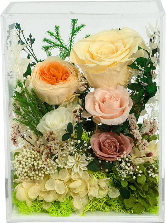 Valley of Rain & Forest Long-Lasting Real Flowers, Handcrafted Preserved Rose Bush For you to Send Love for All Occasions, Floral Arrangement for Indoor Decoration (Yellow Champagne Rose)